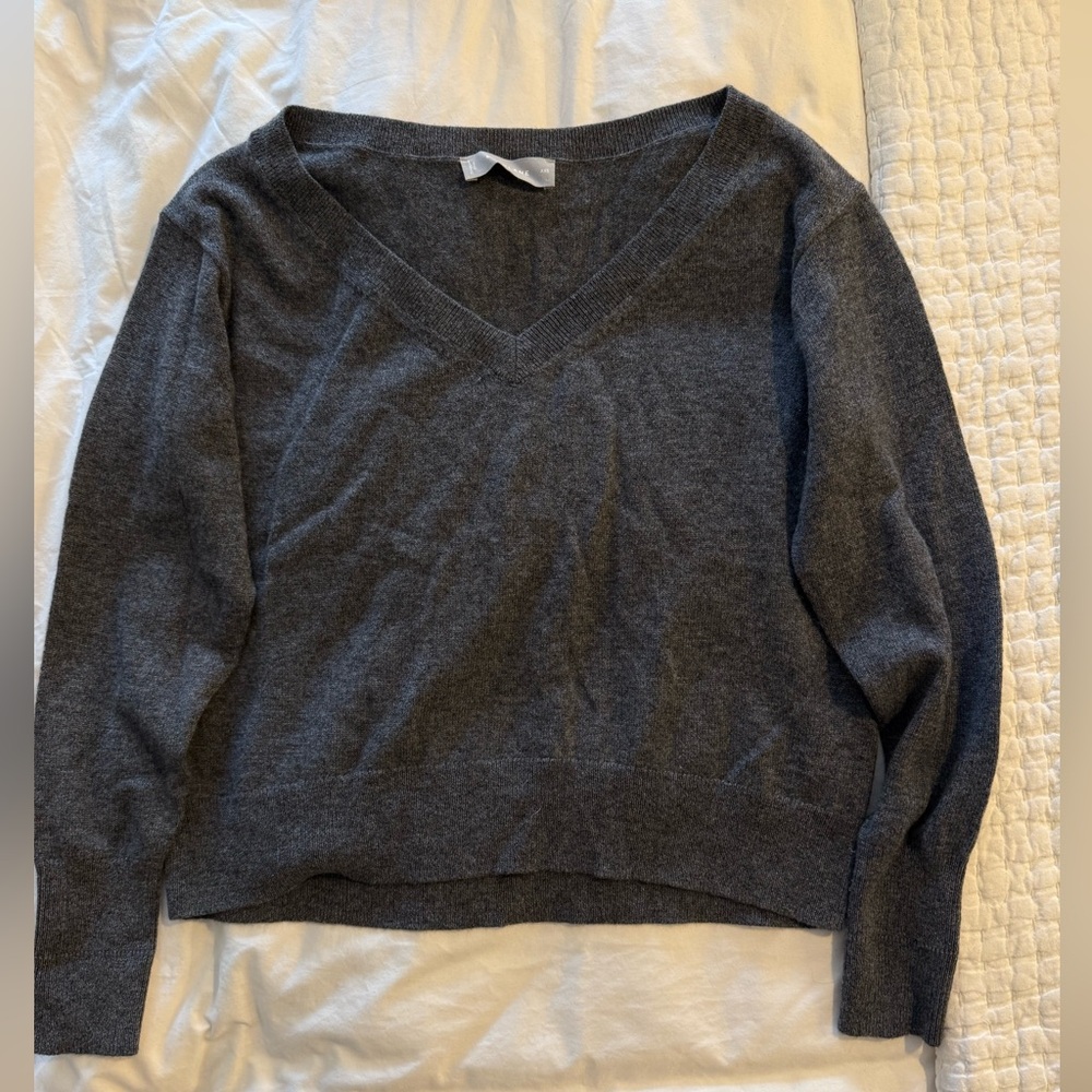 Everlane 100% Cashmere Charcoal V-Neck Sweater